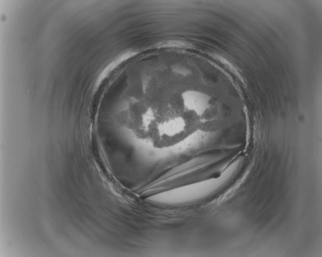 X0000085291117200703231826