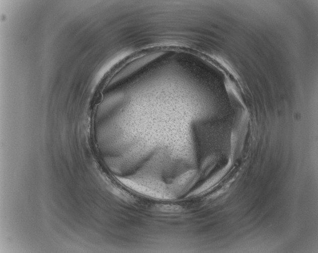 X0000085291119200703231826