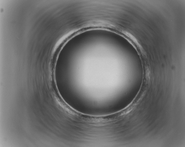 X0000085291120200703231826