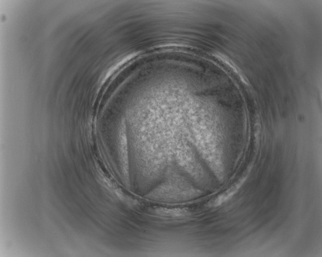 X0000085291121200703231826