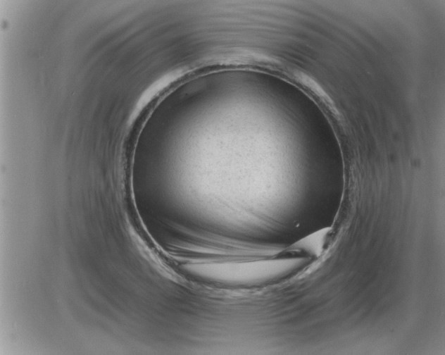 X0000085291122200703231826