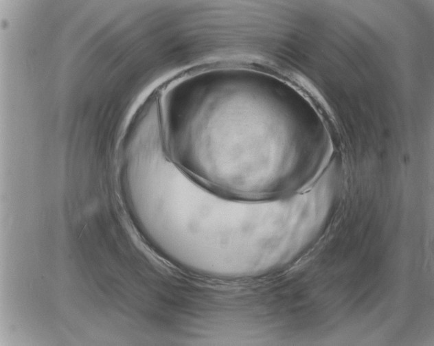 X0000085291124200703231826