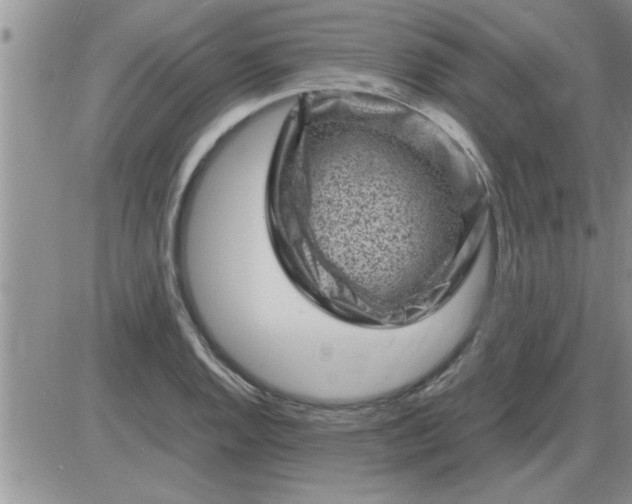 X0000085291128200703231826