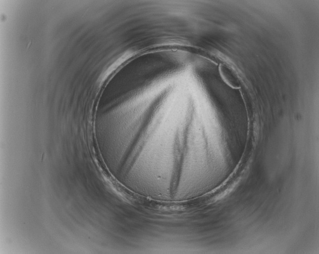 X0000085291129200703231826