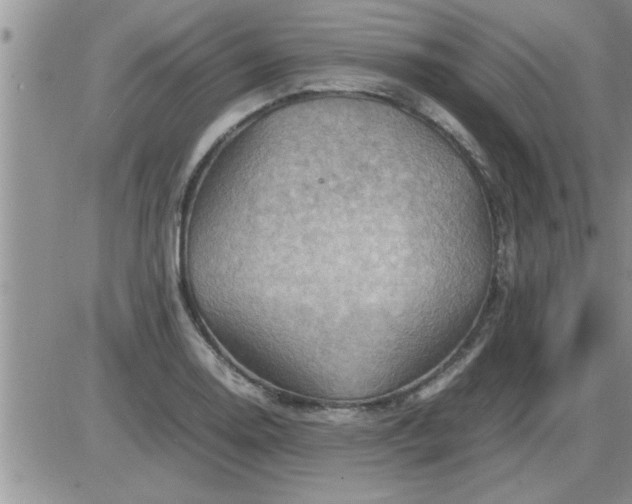 X0000085291130200703231826