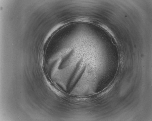 X0000085291131200703231826