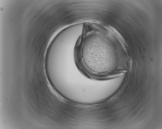 X0000085291132200703231826