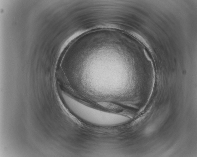 X0000085291133200703231826