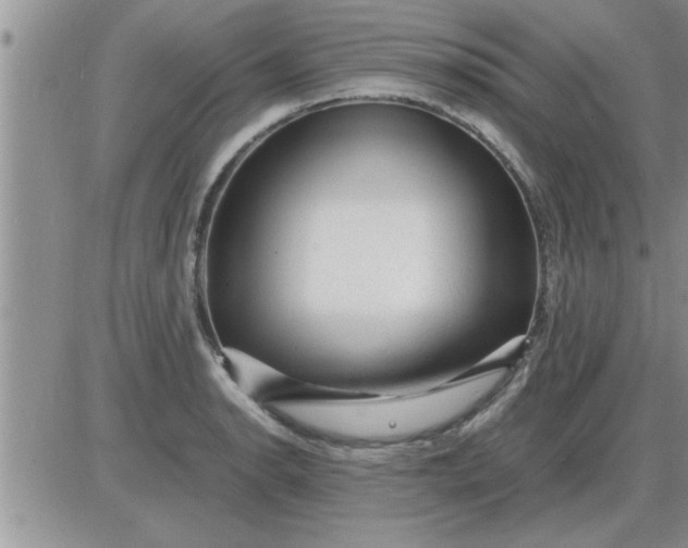 X0000085291134200703231826