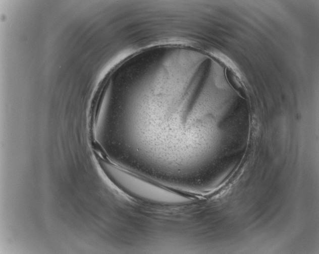 X0000085291135200703231826