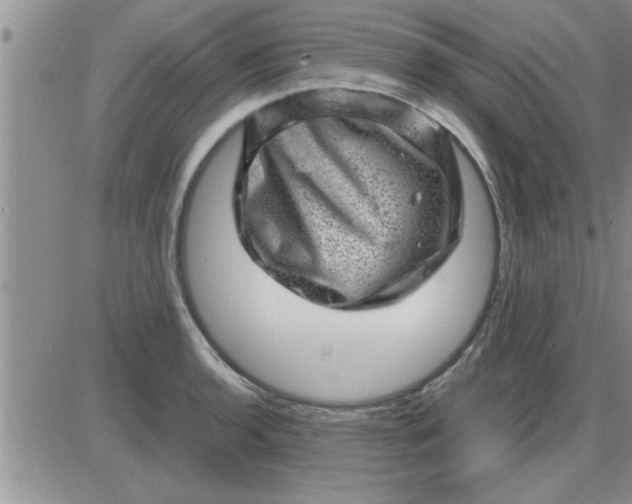 X0000085291136200703231826