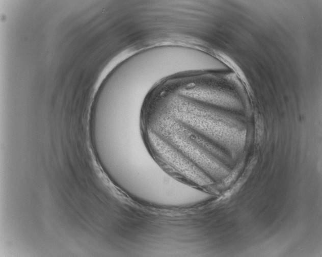 X0000085291138200703231826