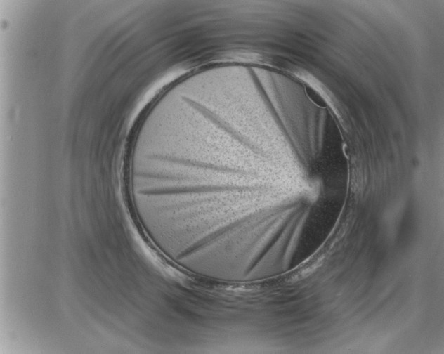 X0000085291139200703231826