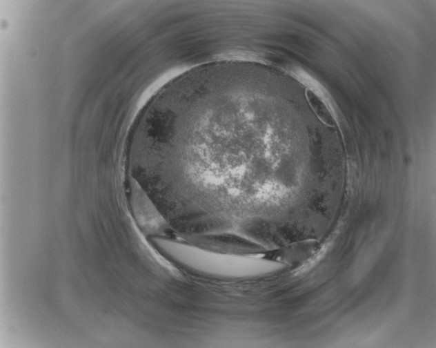 X0000085291141200703231826