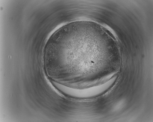 X0000085291142200703231826