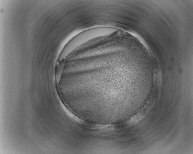 X0000085291143200703231826