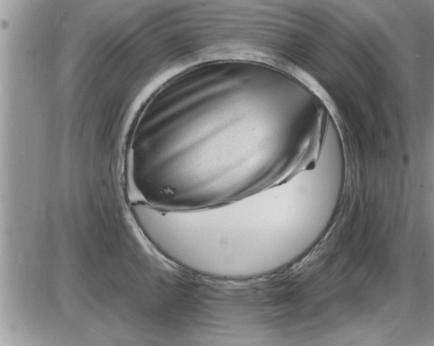 X0000085291144200703231826