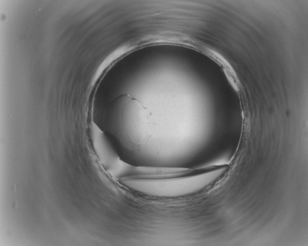 X0000085291146200703231826