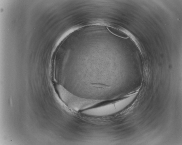 X0000085291147200703231826