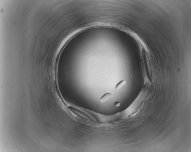 X0000085291148200703231826