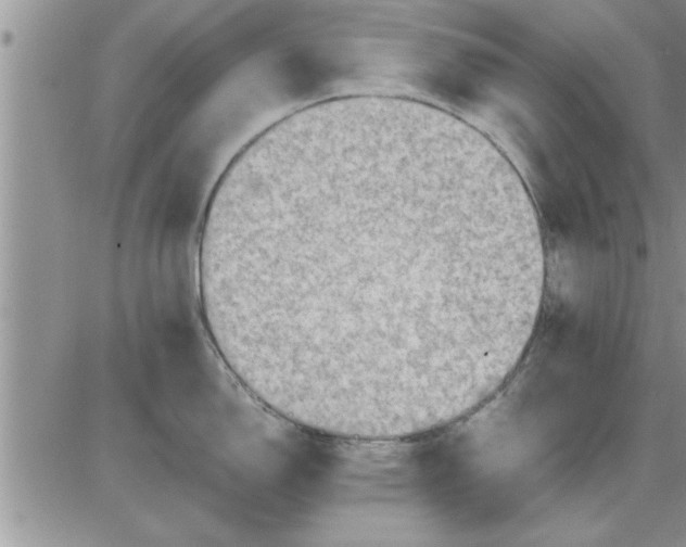 X0000085291150200703231826