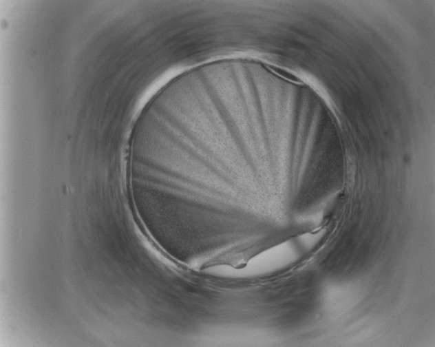 X0000085291151200703231826