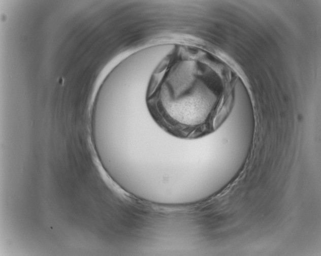 X0000085291152200703231826