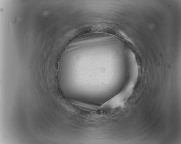 X0000085291153200703231825