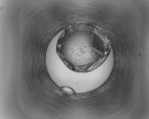 X0000085291156200703231825