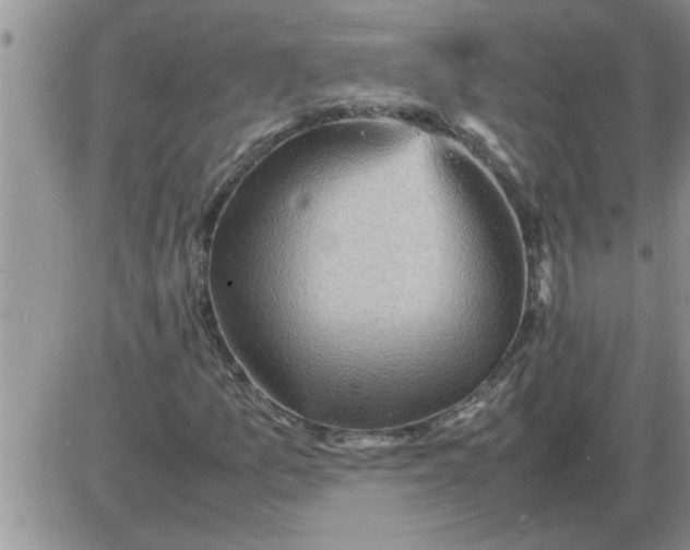 X0000085291157200703231825