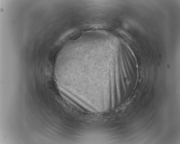 X0000085291158200703231825