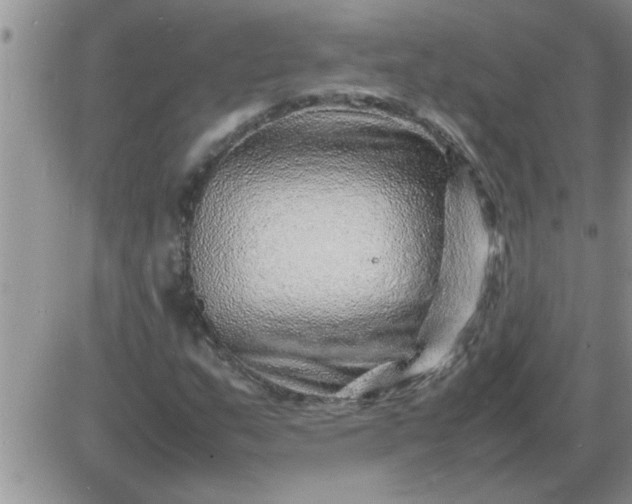 X0000085291159200703231825