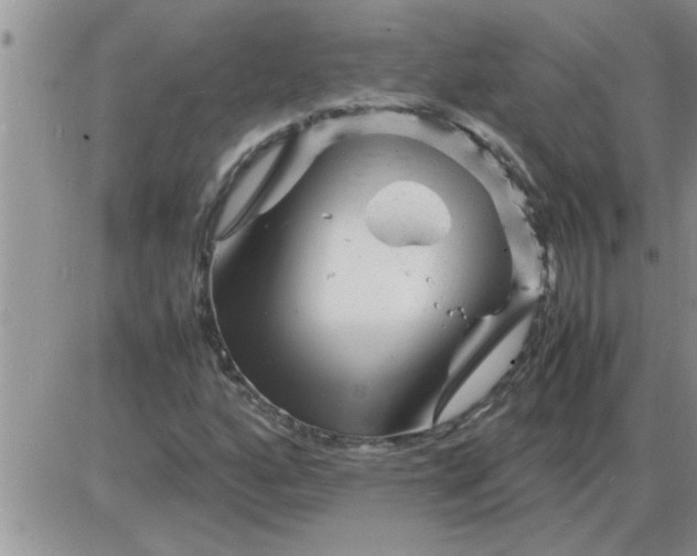 X0000085291160200703231825