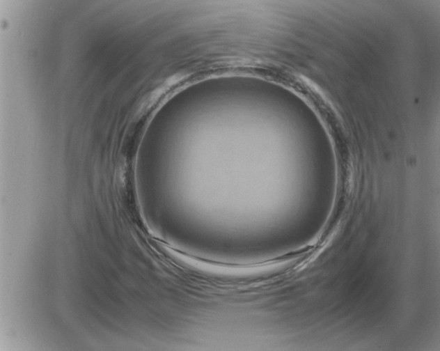 X0000085291161200703231825