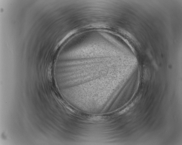 X0000085291162200703231825