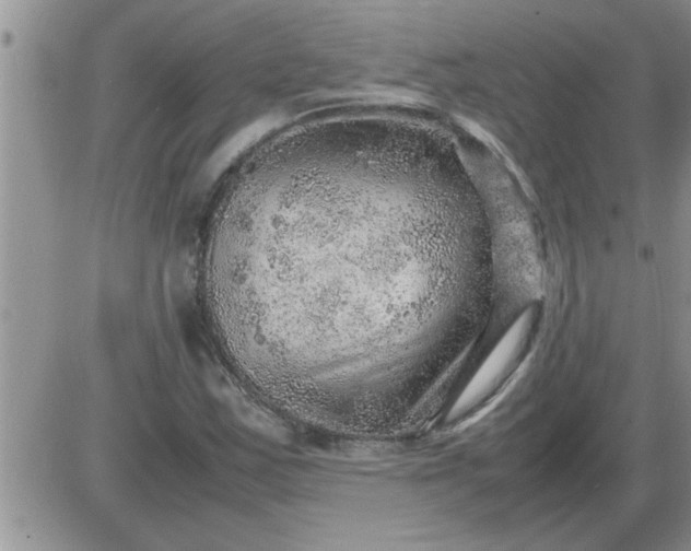 X0000085291163200703231825