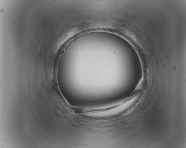 X0000085291165200703231825