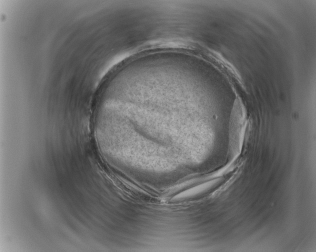 X0000085291166200703231825