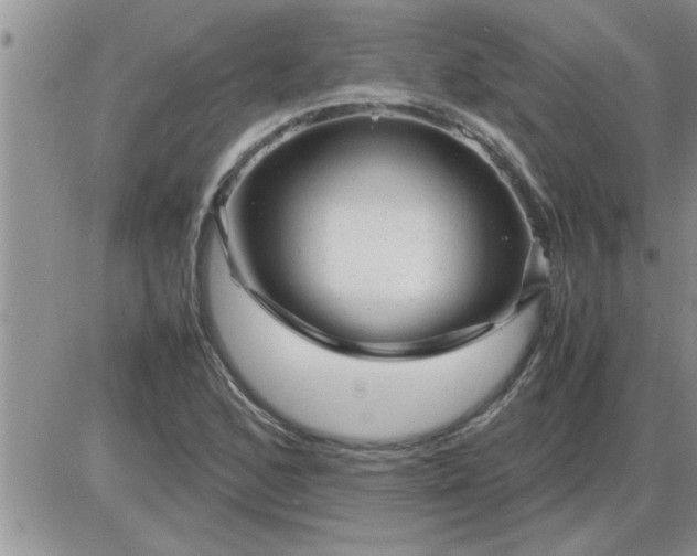 X0000085291168200703231825