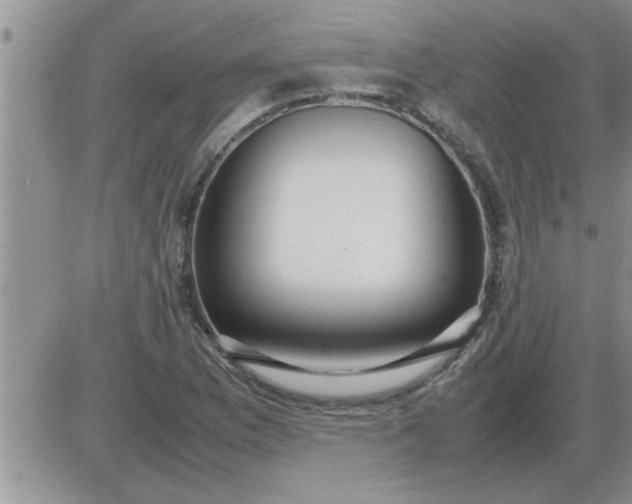 X0000085291169200703231825