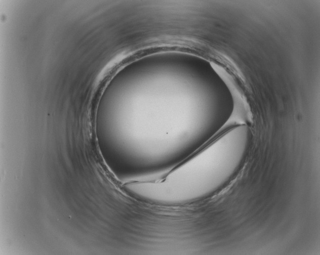 X0000085291172200703231825