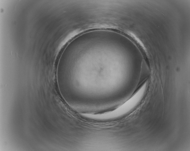 X0000085291173200703231825