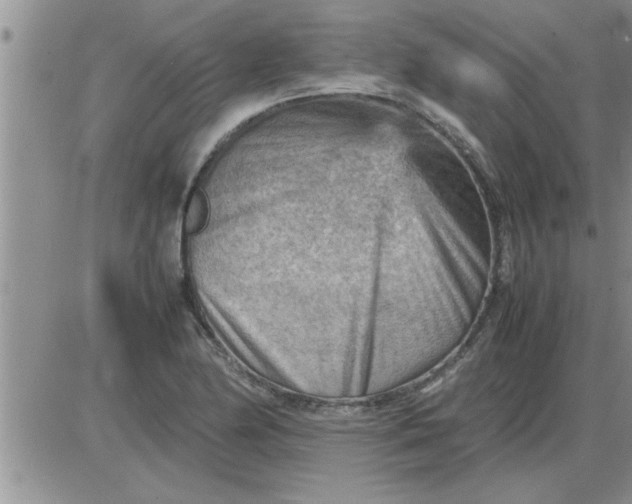 X0000085291174200703231825