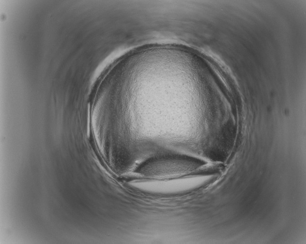 X0000085291175200703231825