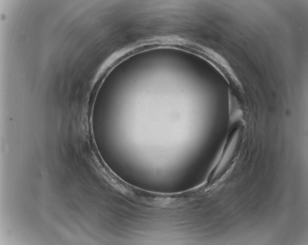 X0000085291176200703231825