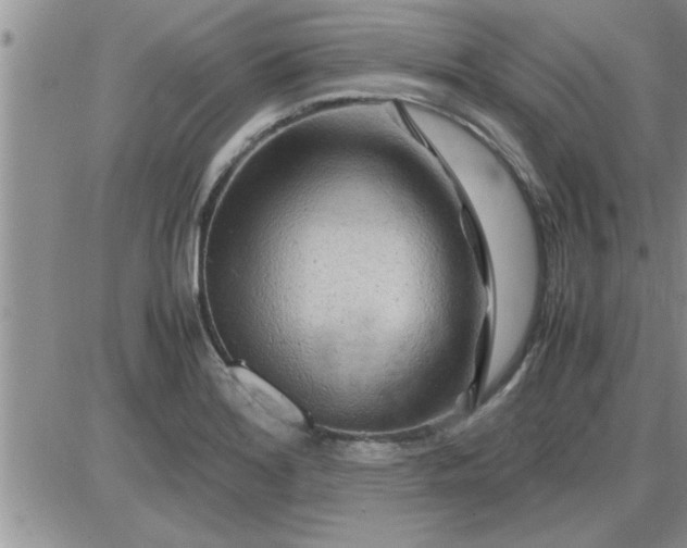 X0000085291180200703231825