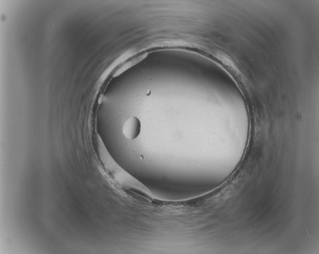 X0000085291181200703231825