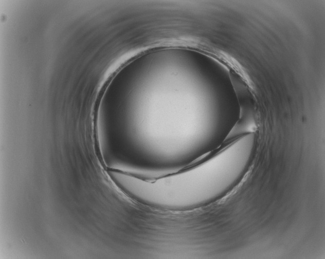 X0000085291184200703231825