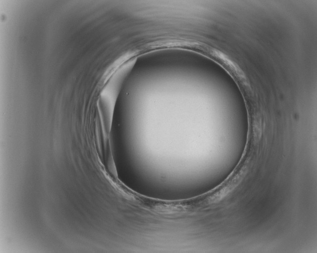 X0000085291185200703231825