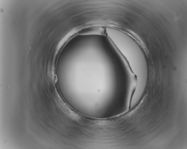 X0000085291188200703231825